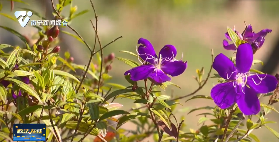 欢欣鼓舞说变化  处处感受民生情