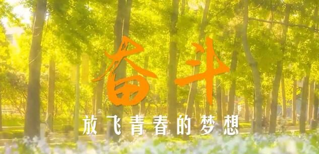 二十大时光｜奋斗，放飞青春的梦想