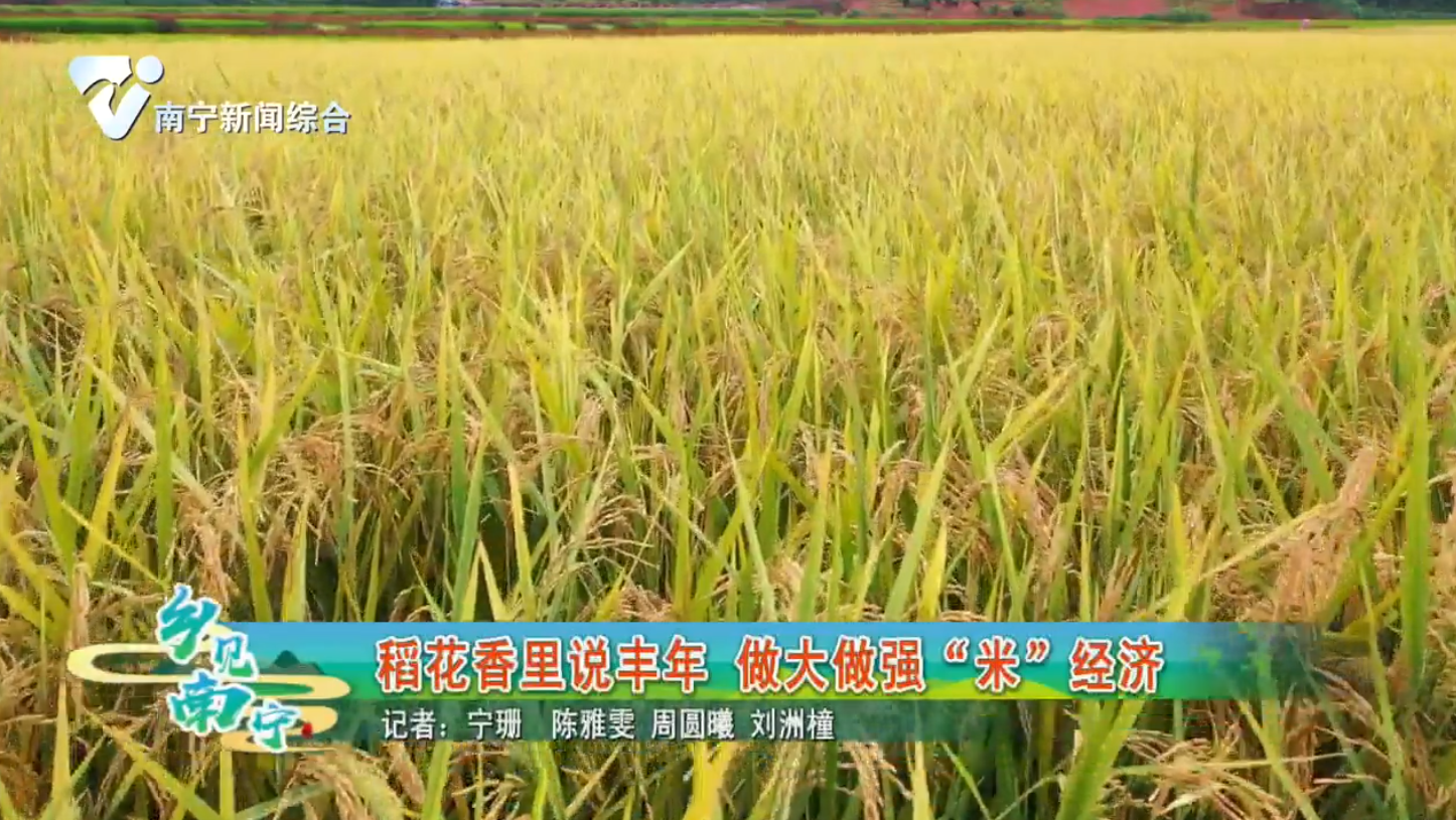 稻花香里说丰年 做大做强“米”经济