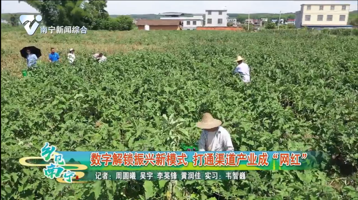数字解锁振兴新模式 打通渠道产业成“网红”
