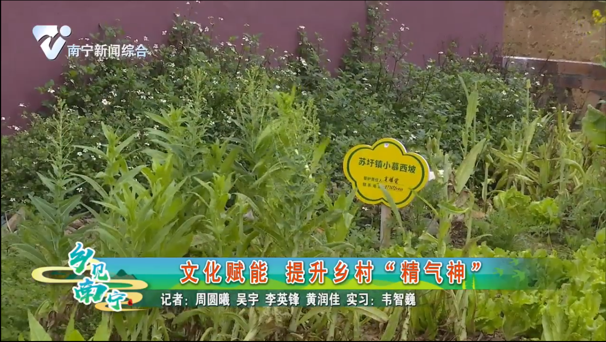 文化赋能 提升乡村“精气神”