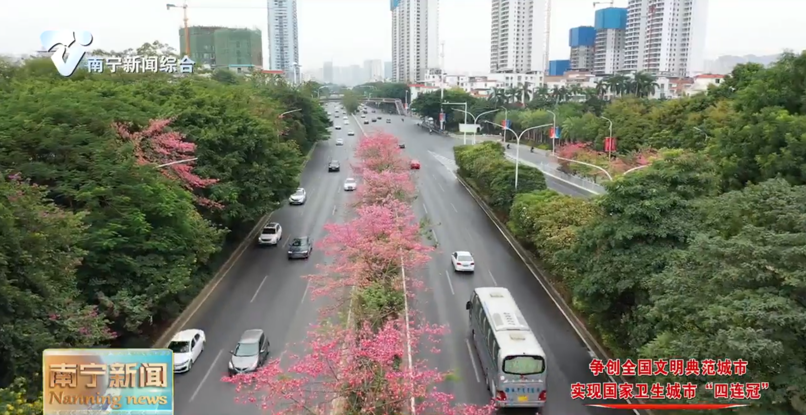 城市家园美美与共 “金字招牌”熠熠生辉——壮乡首府南宁实现国家卫生城市“四连冠”