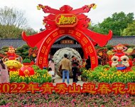 春光無限好，青秀山迎春花展百花爭艷