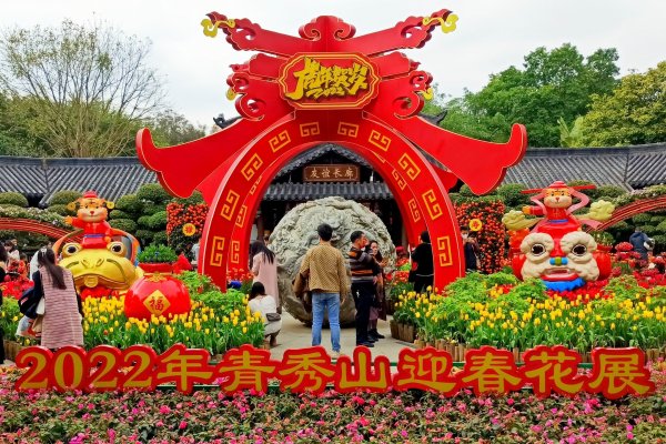 春光無限好，青秀山迎春花展百花爭艷