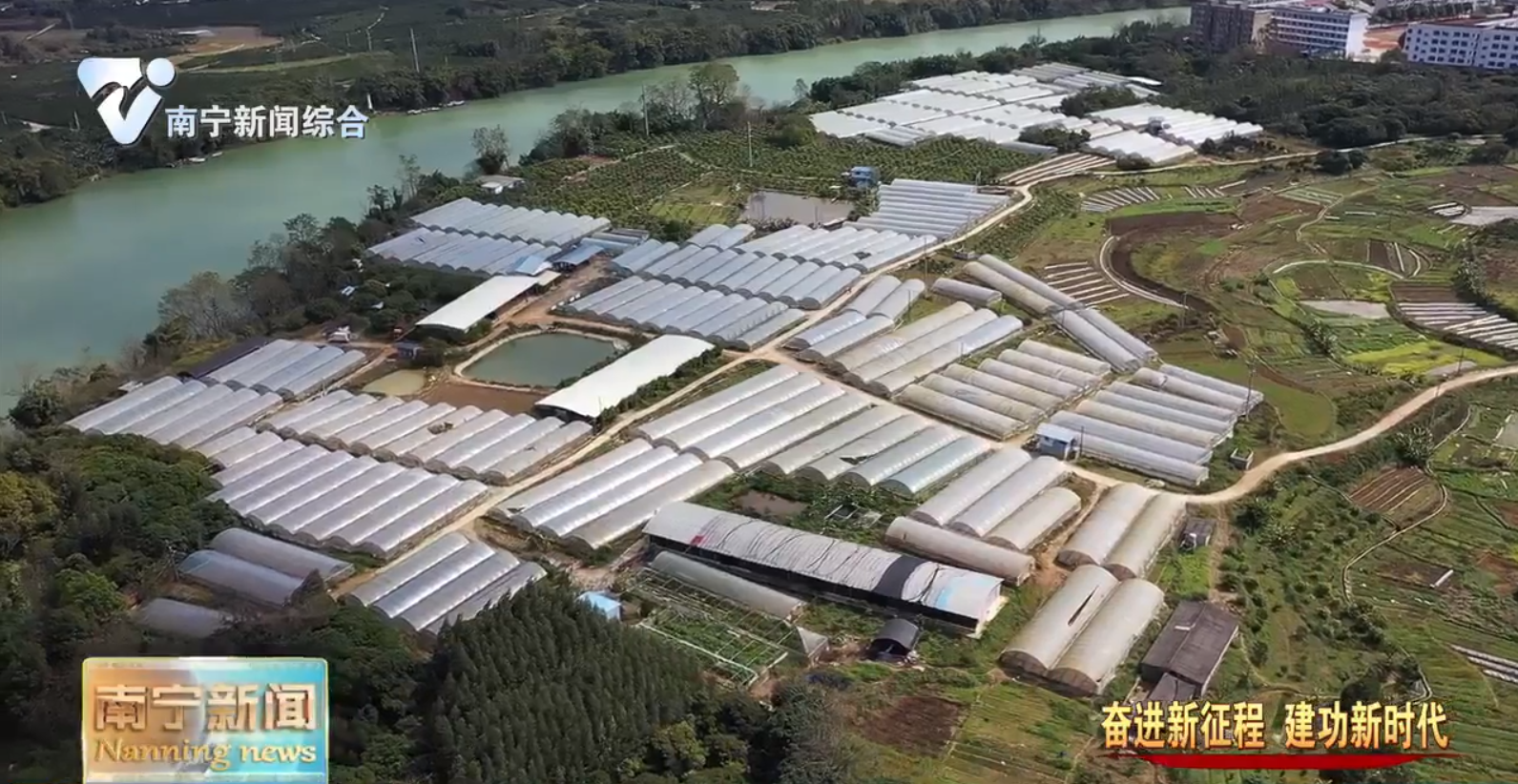 抓生产保供应  托稳城市“菜篮子”