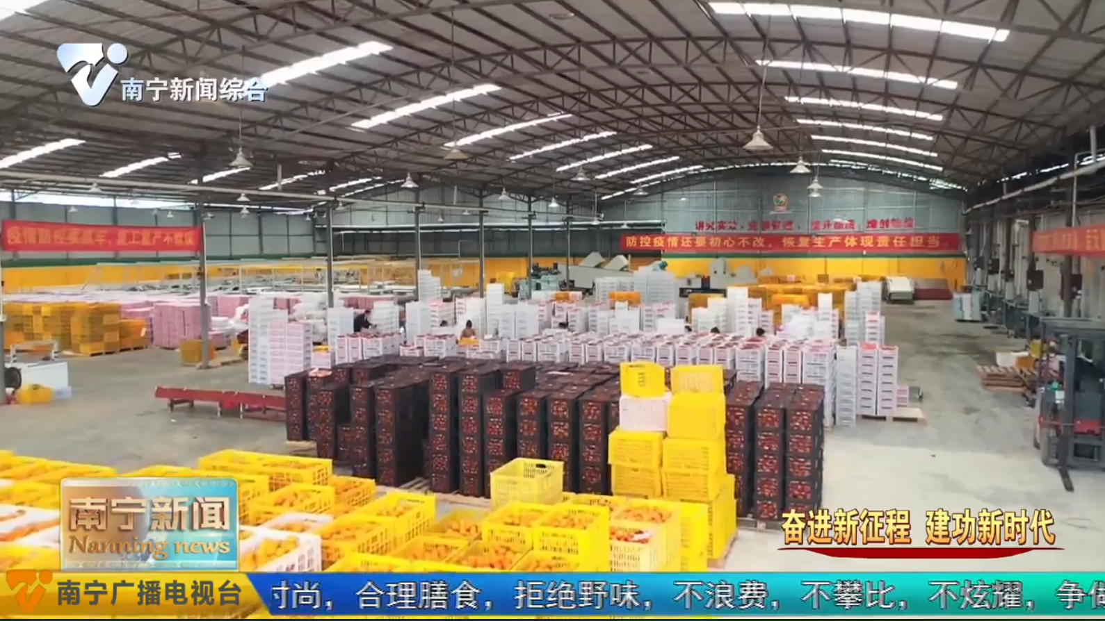 RCEP生效首季  南宁下好“先手棋”  开放红利持续释放