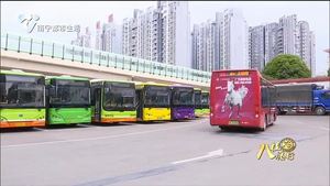 南宁公交集团：践行企业使命和担当 积极弘扬志愿服务精神