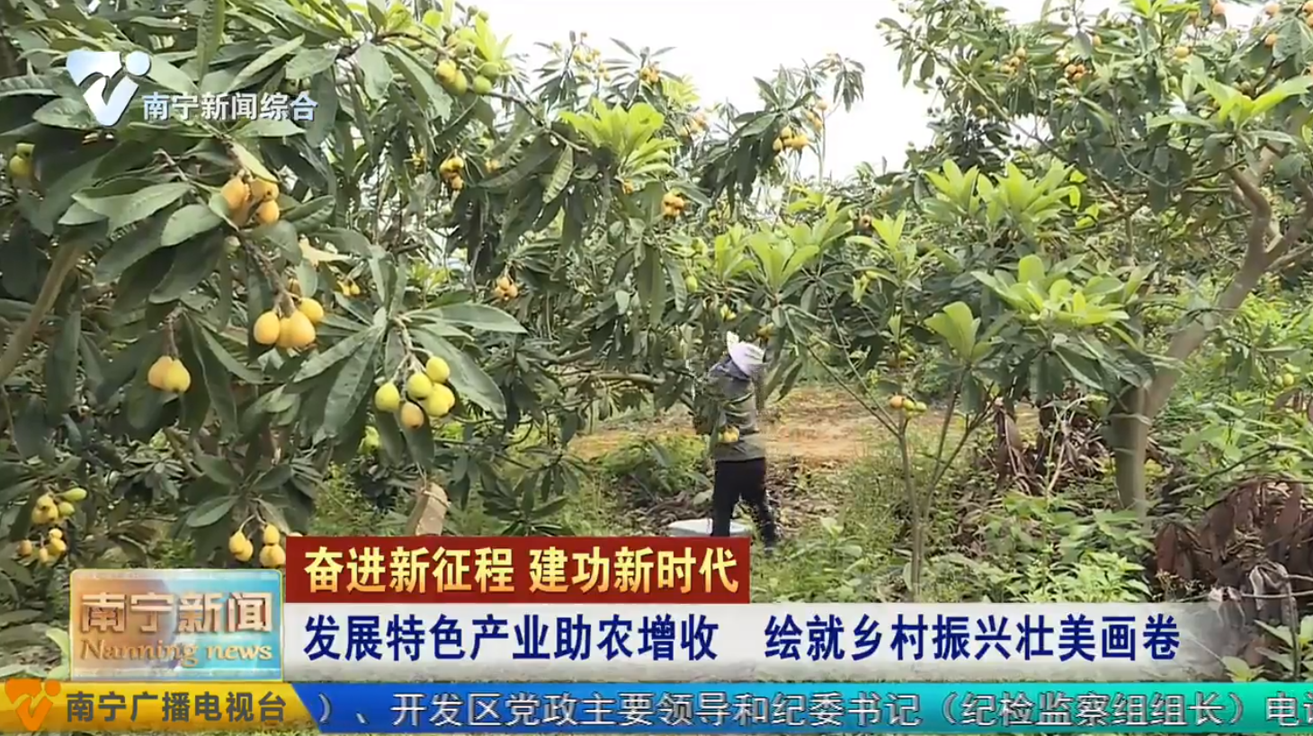 发展特色产业助农增收  绘就乡村振兴壮美画卷