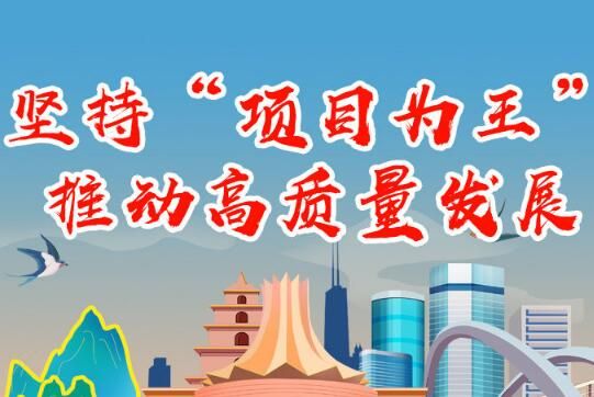 坚持“项目为王” 推动高质量发展