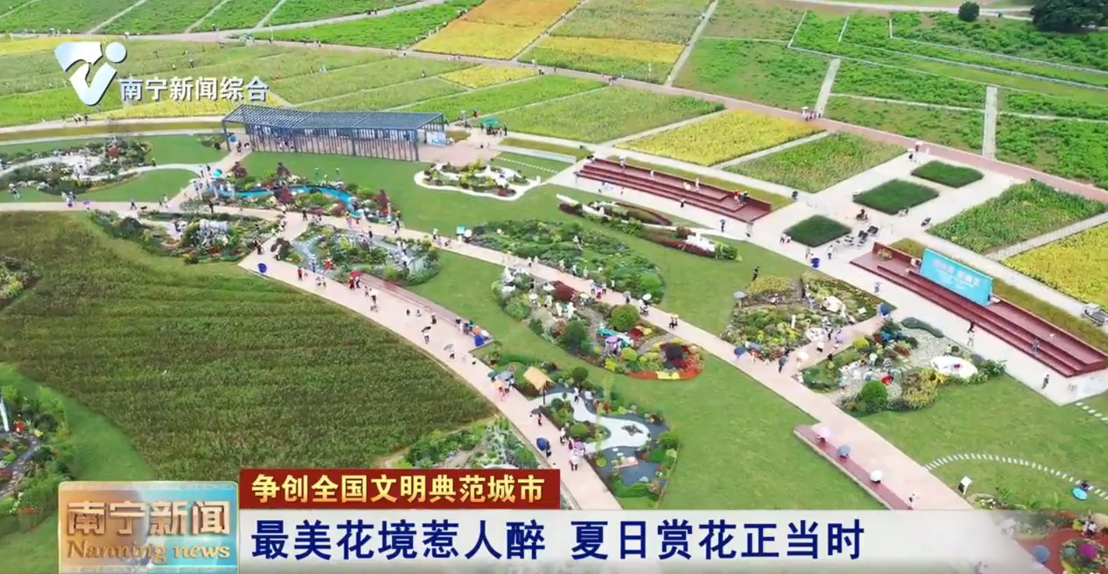 最美花境惹人醉 夏日赏花正当时