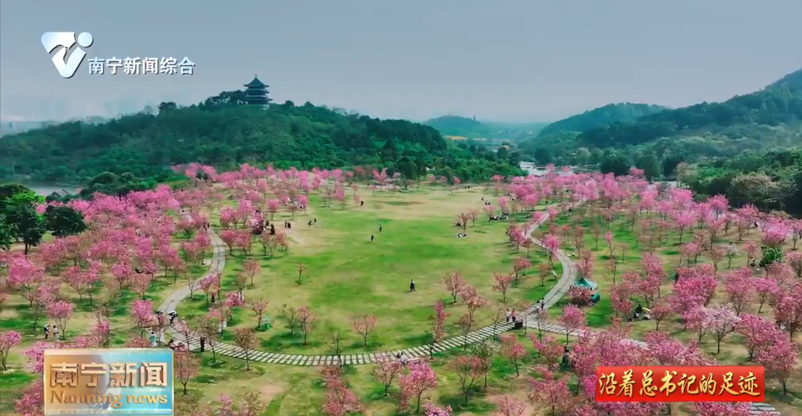 坚持绿色发展 擦亮生态秀美“金字招牌”