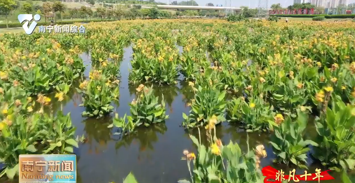 踔厉笃行 为建设壮美广西作出首府贡献