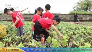 【暑期新闻】“美丽一夏·领袖思维” 夏令营