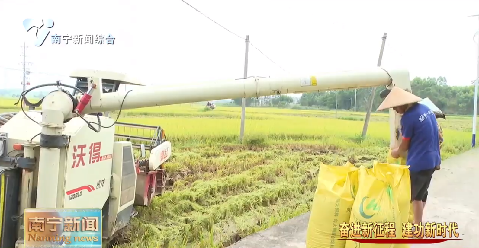 扎实有序开展“双抢”  为我市全年粮食丰收奠定基础