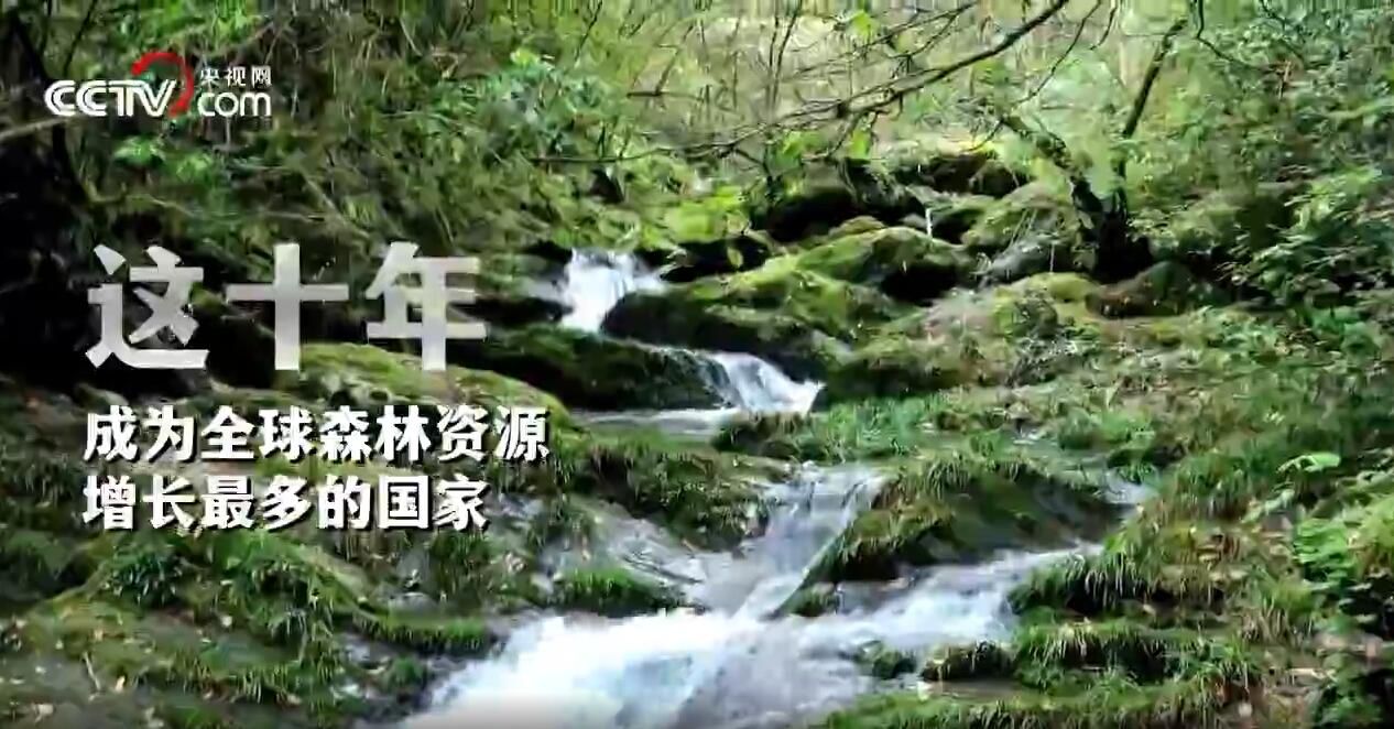 非凡十年丨驰而不息 只此青绿