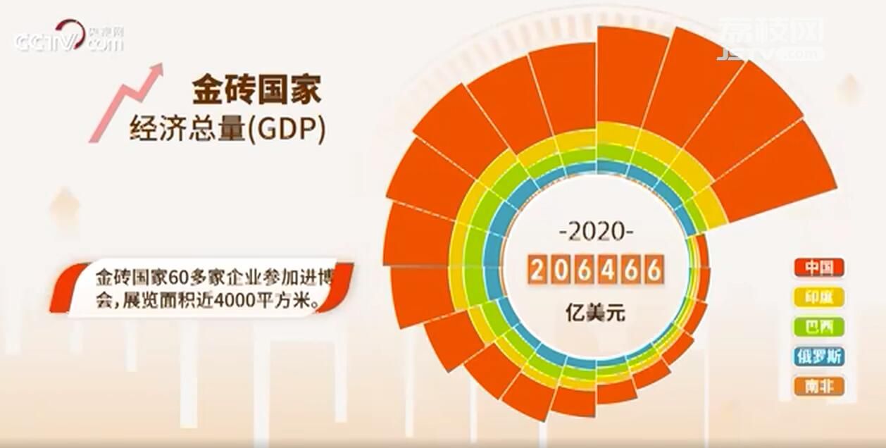 非凡十年丨金砖之道 和衷共济