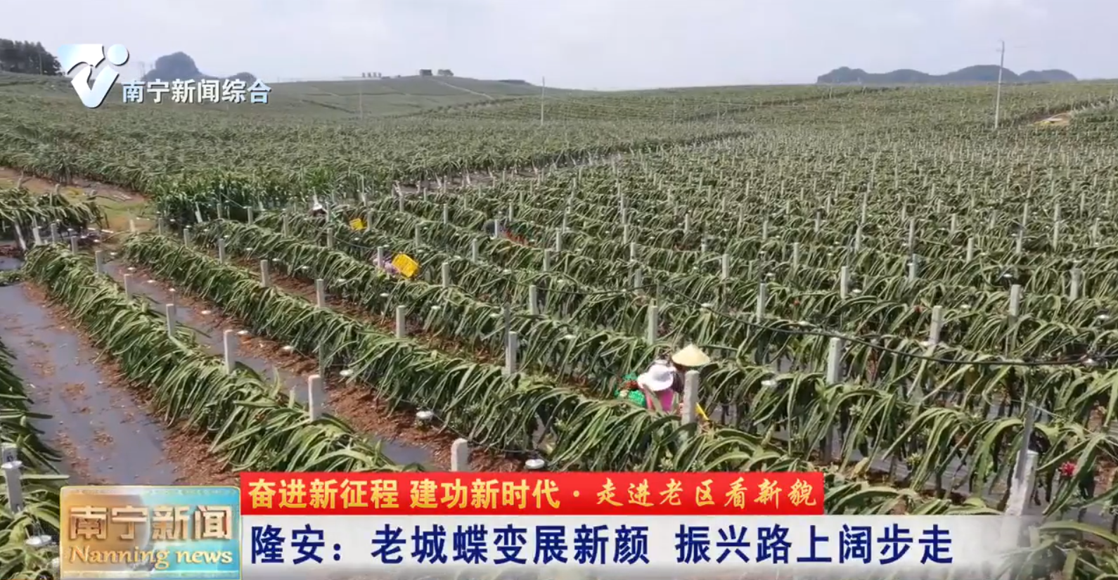 隆安：老城蝶变展新颜   振兴路上阔步走