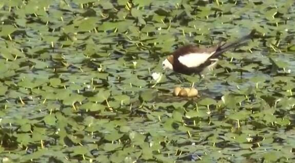 【奋进新征程 建功新时代·非凡十年】奋力书写新时代江苏“强富美高”新篇章