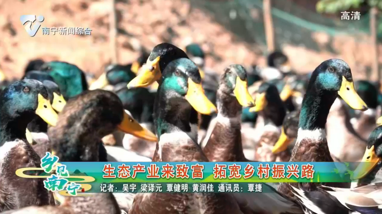 生态产业来致富 拓宽乡村振兴路
