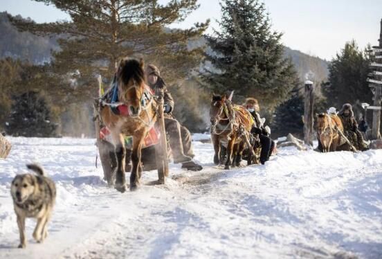 新春走基层丨当“找北”遇上极寒——“中国北极”热腾腾的“冷资源”