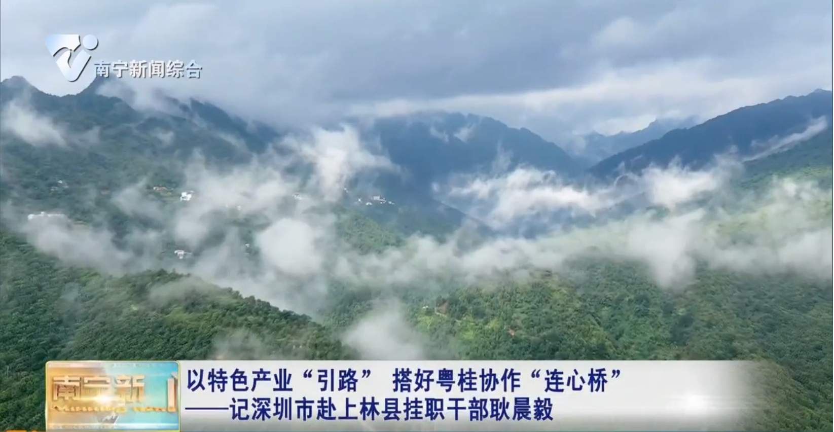 以特色产业“引路” 搭好粤桂协作“连心桥”——记深圳市赴上林县挂职干部耿晨毅 