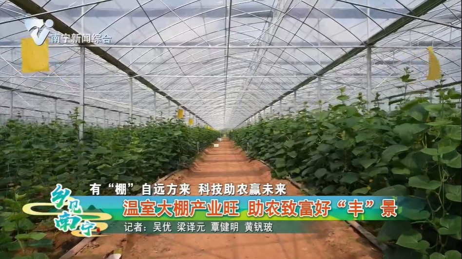 【有“棚”自远方来 科技助农赢未来】温室大棚产业旺 助农致富好“丰”景