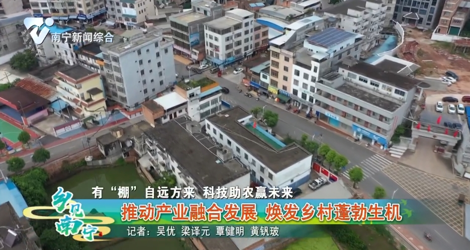 【有“棚”自远方来 科技助农赢未来】推动产业融合发展 焕发乡村蓬勃生机