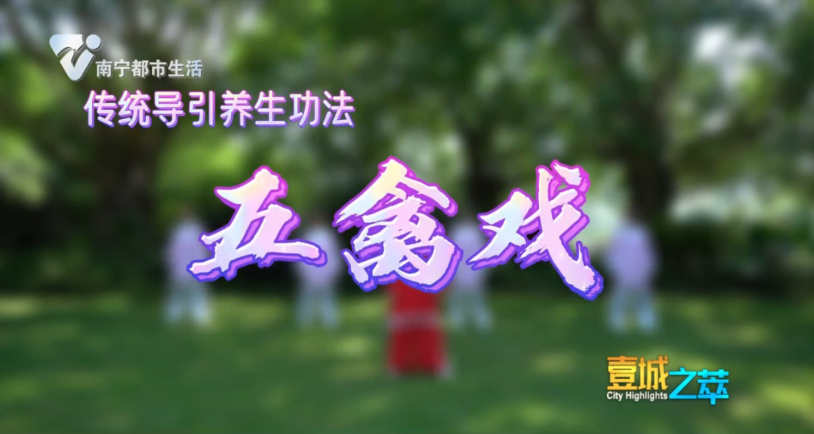 传统导引养生功法 五禽戏