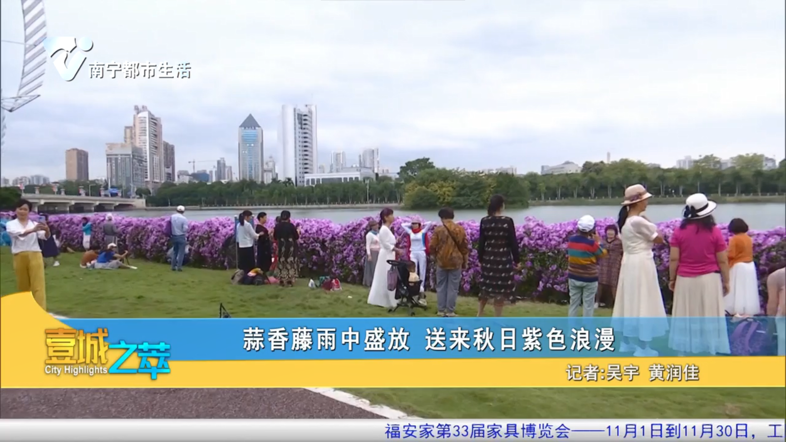 蒜香藤雨中盛放 送来秋日紫色浪漫