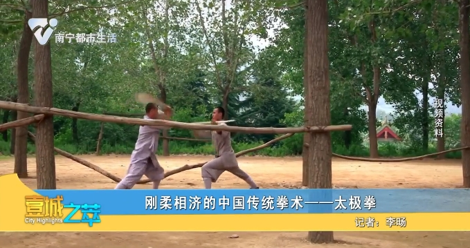 刚柔相济的中国传统拳术——太极拳