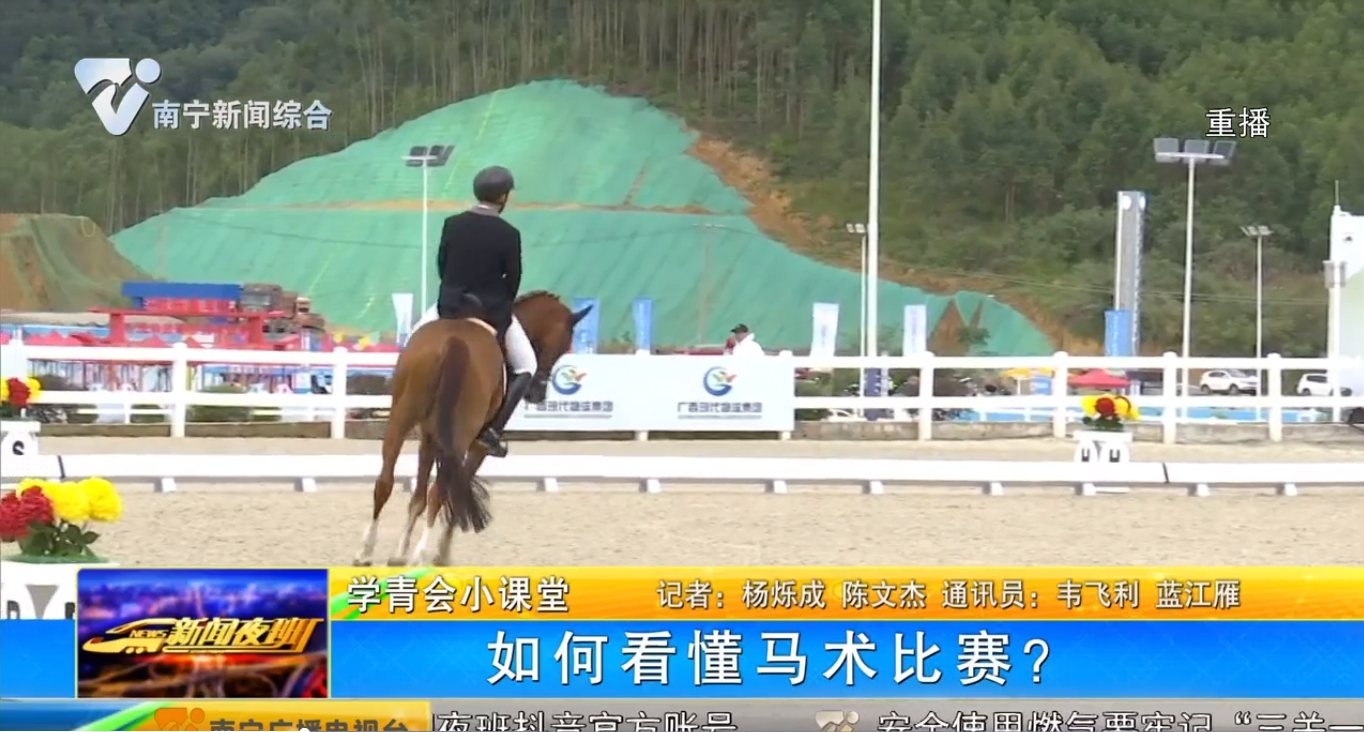 【学青会小课堂】如何看懂马术比赛？ 