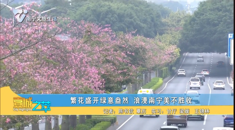 繁花盛开绿意盎然 浪漫南宁美不胜收