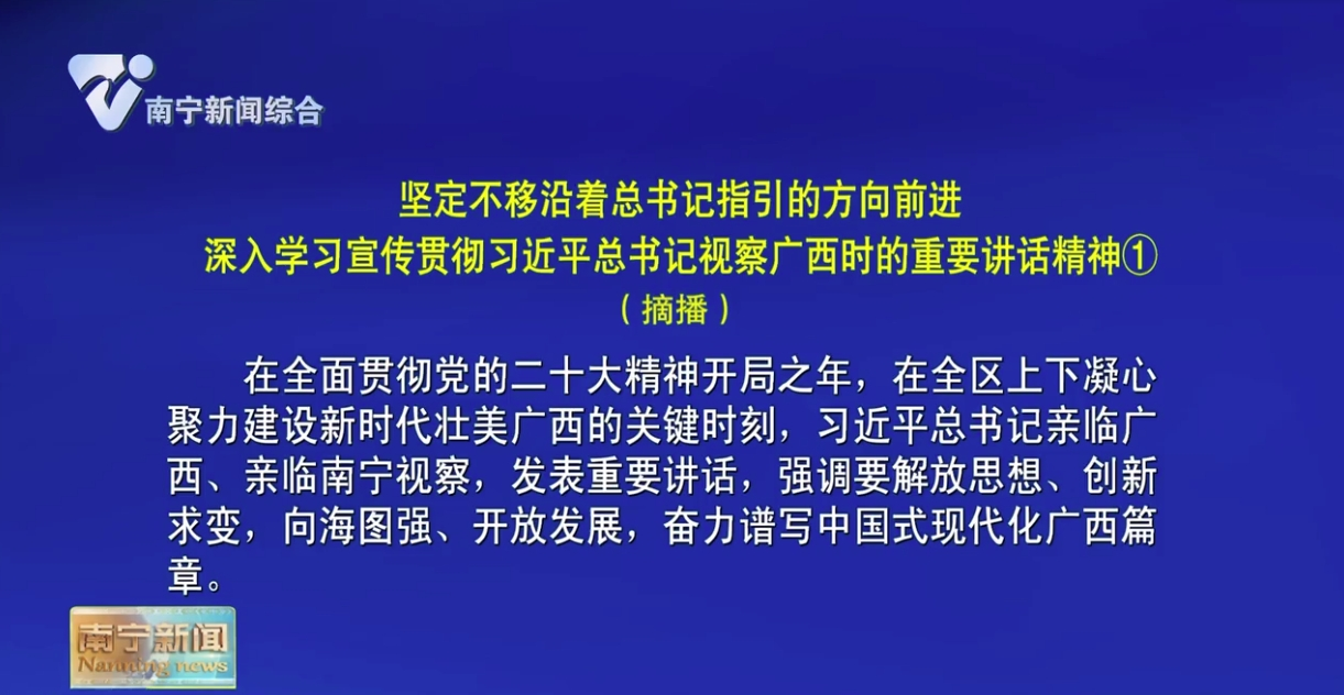 堅定不移沿著總書記指引的方向前進 深入學習宣傳貫徹習近平總書記視察廣西時的重要講話精神①（摘播）
