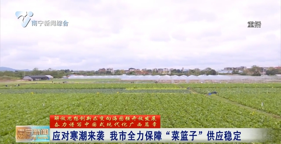 應對寒潮來襲 我市全力保障“菜籃子”供應穩定