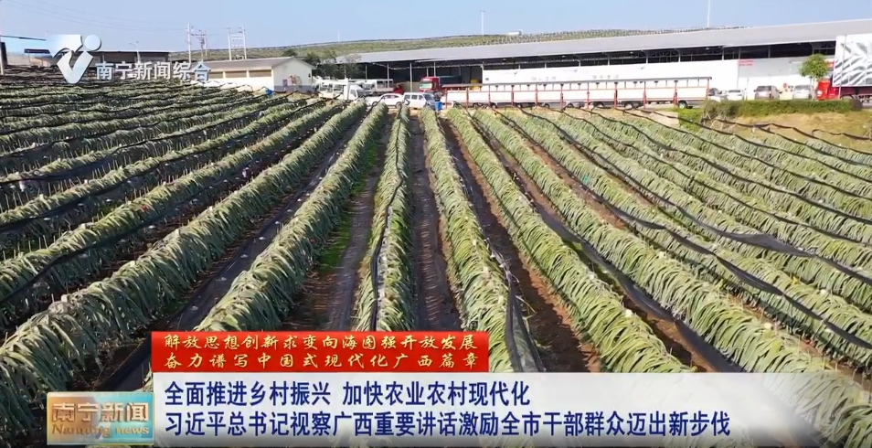 全面推進鄉(xiāng)村振興 加快農業(yè)農村現(xiàn)代化 習近平總書記視察廣西重要講話激勵全市干部群眾邁出新步伐 