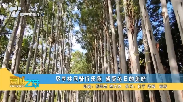 尽享林间骑行乐趣 感受冬日的美好