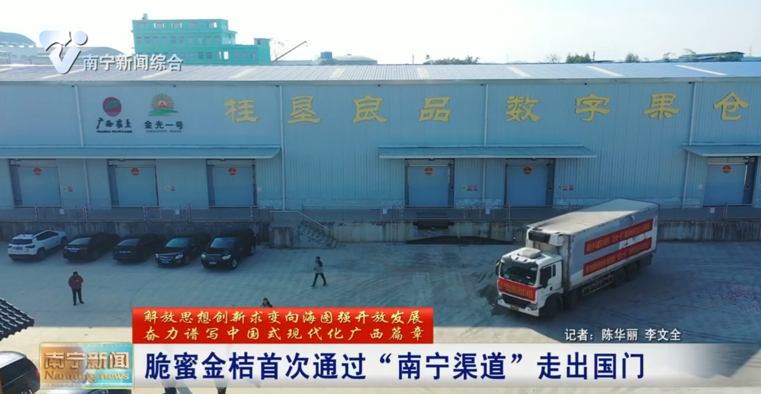脆蜜金桔首次通過“南寧渠道”走出國門