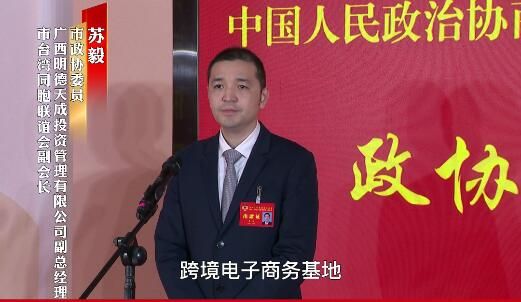 苏毅：打造面向RCEP的区域性跨境电子商务基地