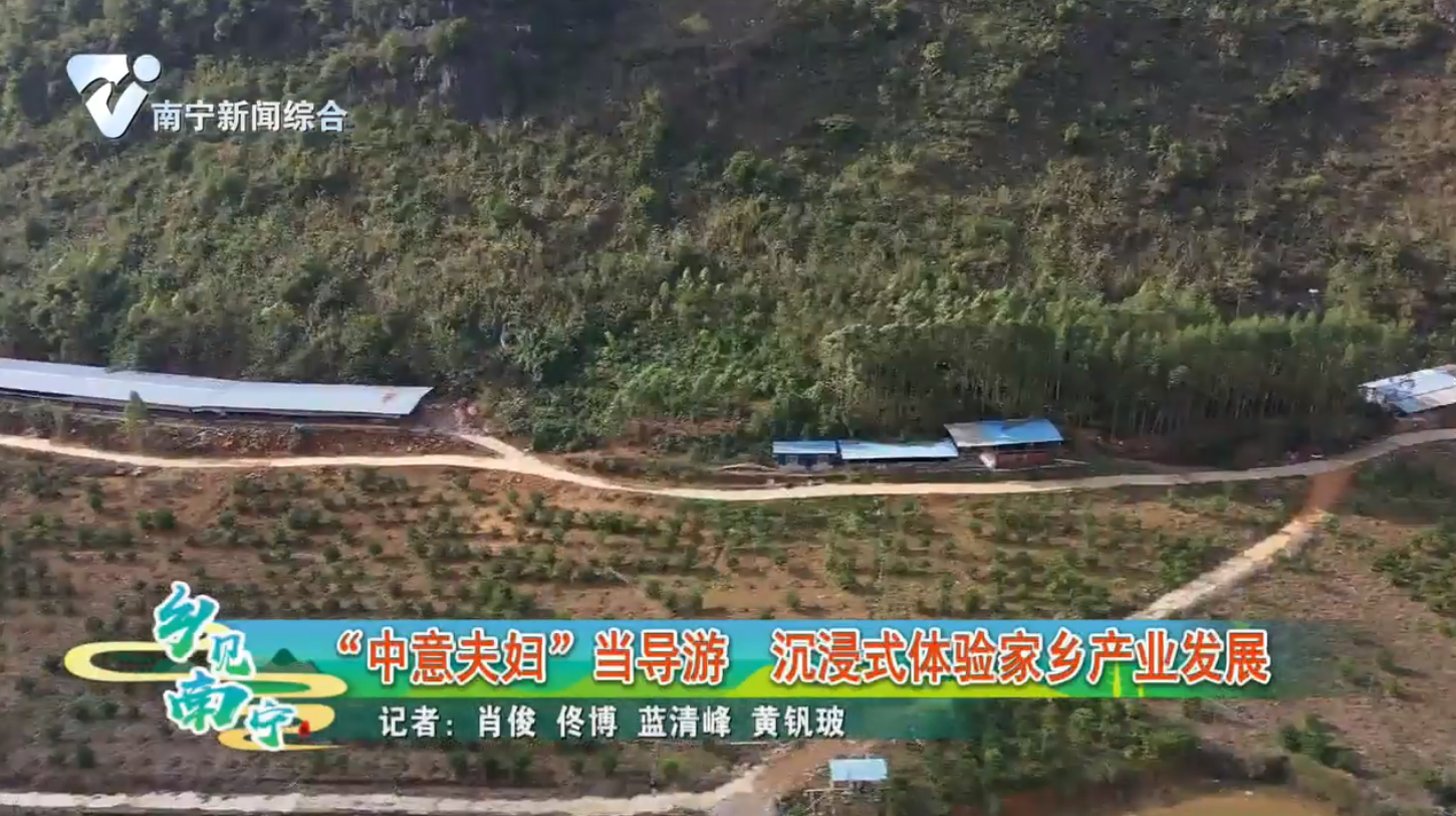 “中意夫妇”当导游 沉浸式体验家乡产业发展