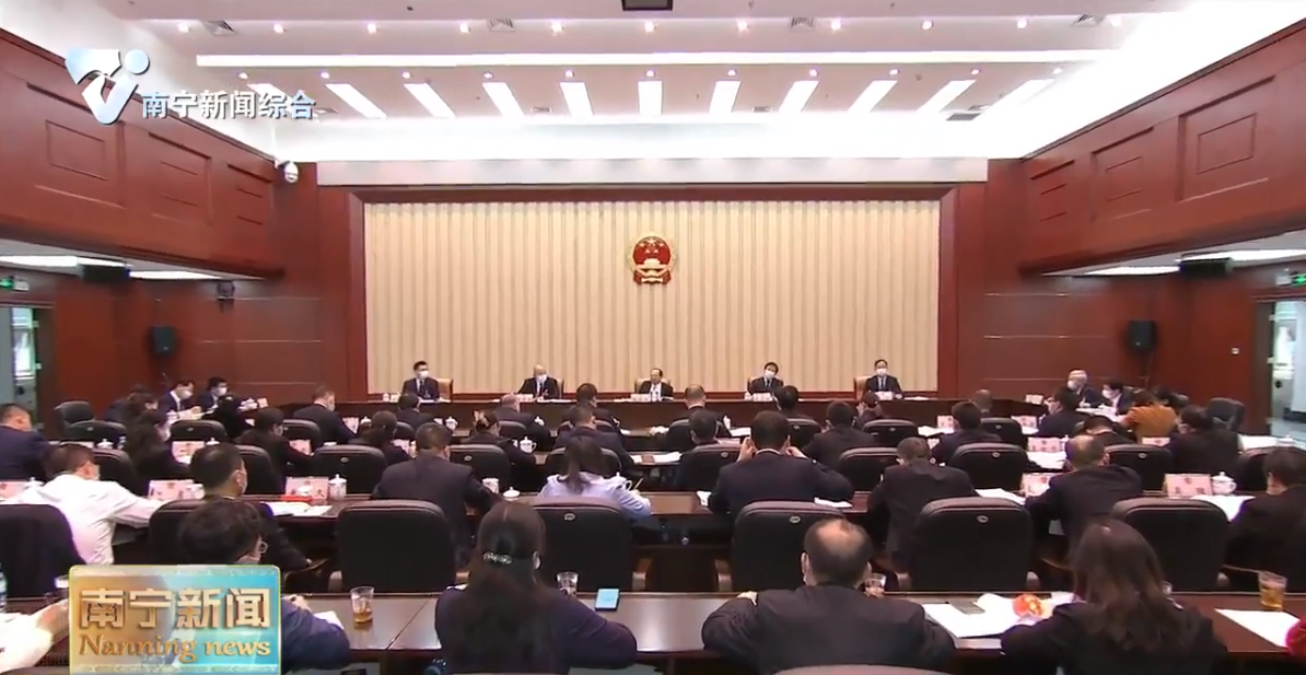 农生文参加马山县代表团审议时强调  立足资源禀赋  发挥比较优势   探索走出具有马山特色的乡村振兴新路子