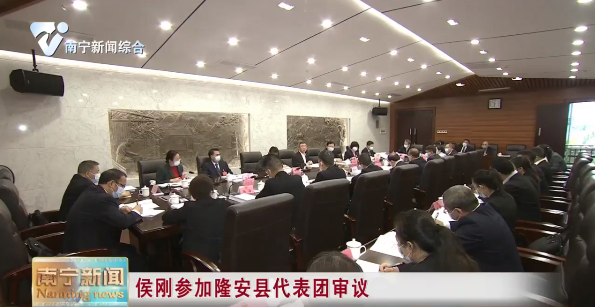 侯刚参加隆安县代表团审议