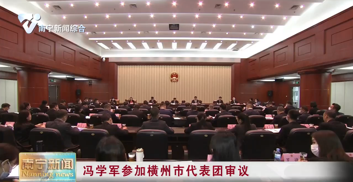 冯学军参加横州市代表团审议