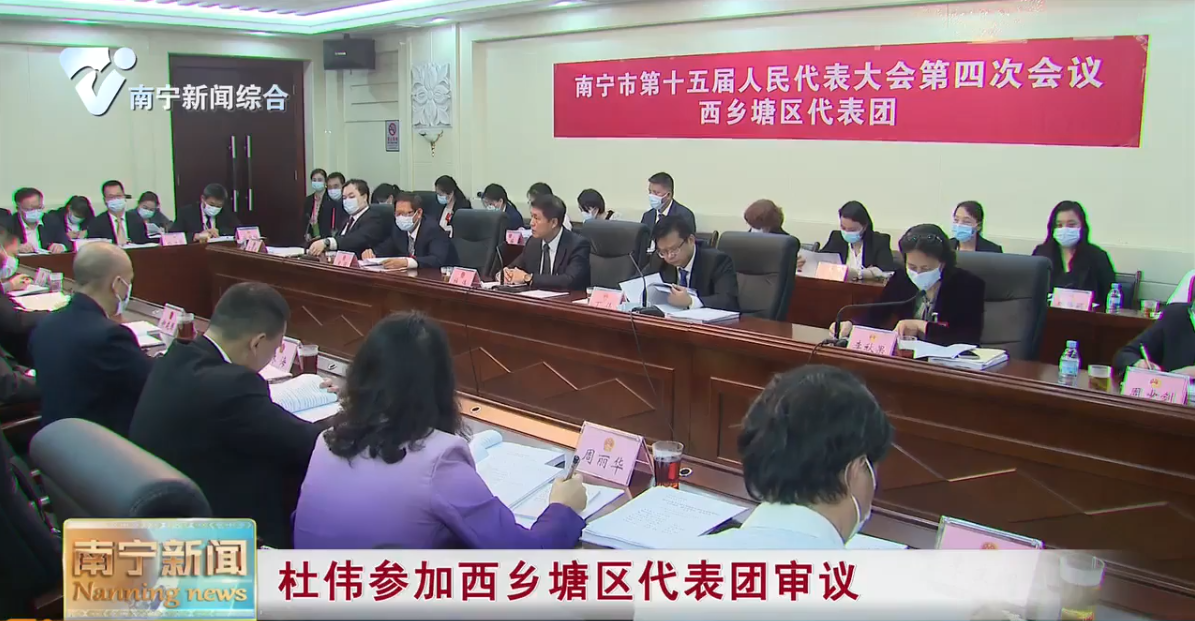 杜伟参加西乡塘区代表团审议