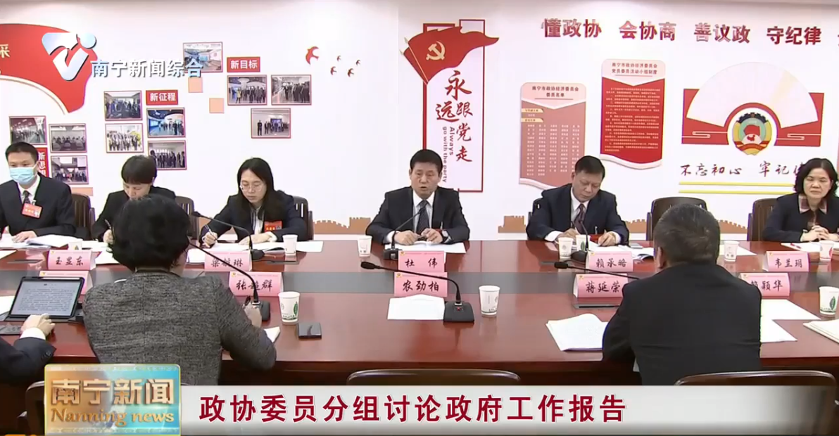 政协委员分组讨论政府工作报告