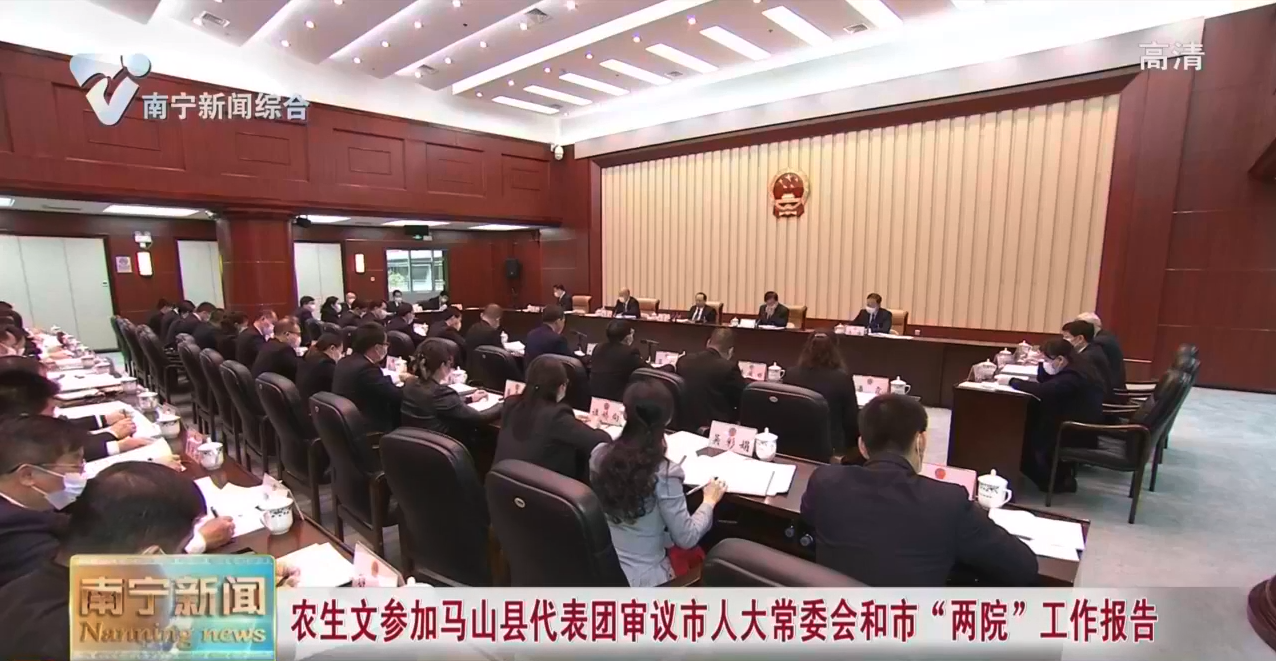 农生文参加马山县代表团审议市人大常委会和市“两院”工作报告