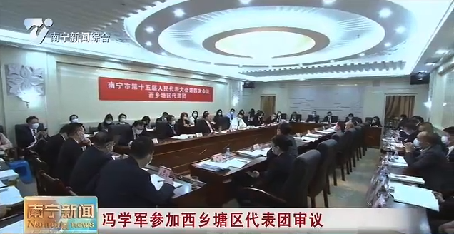 冯学军参加西乡塘区代表团审议