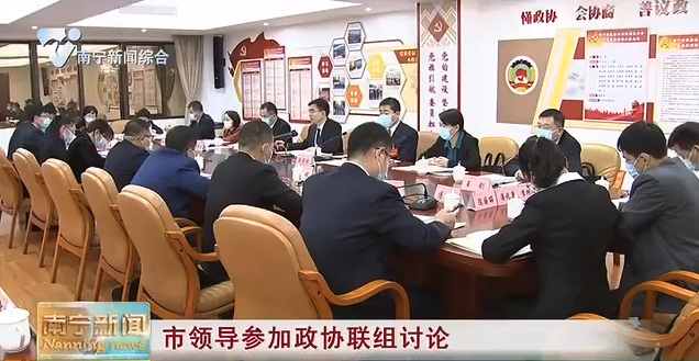 市领导参加政协联组讨论