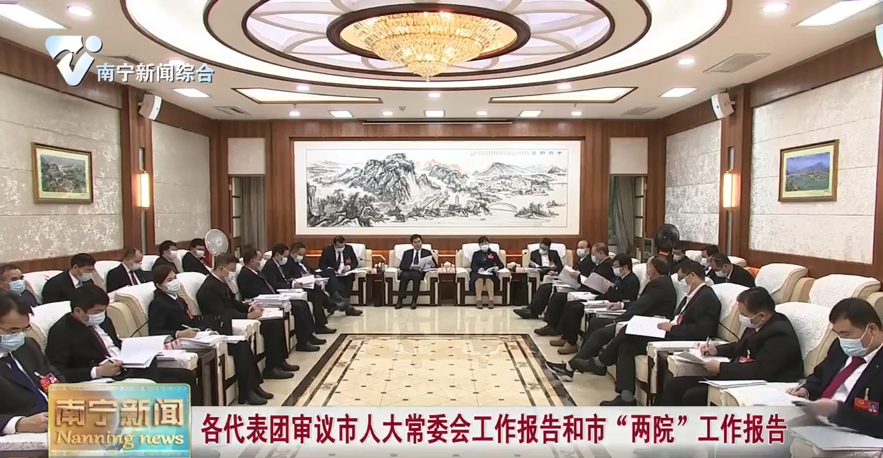各代表团审议市人大常委会工作报告和市“两院”工作报告