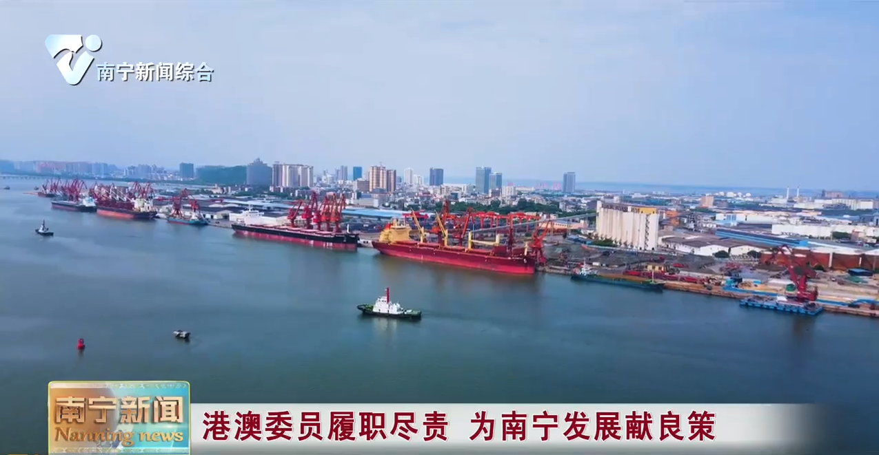 港澳委员履职尽责 为南宁发展献良策