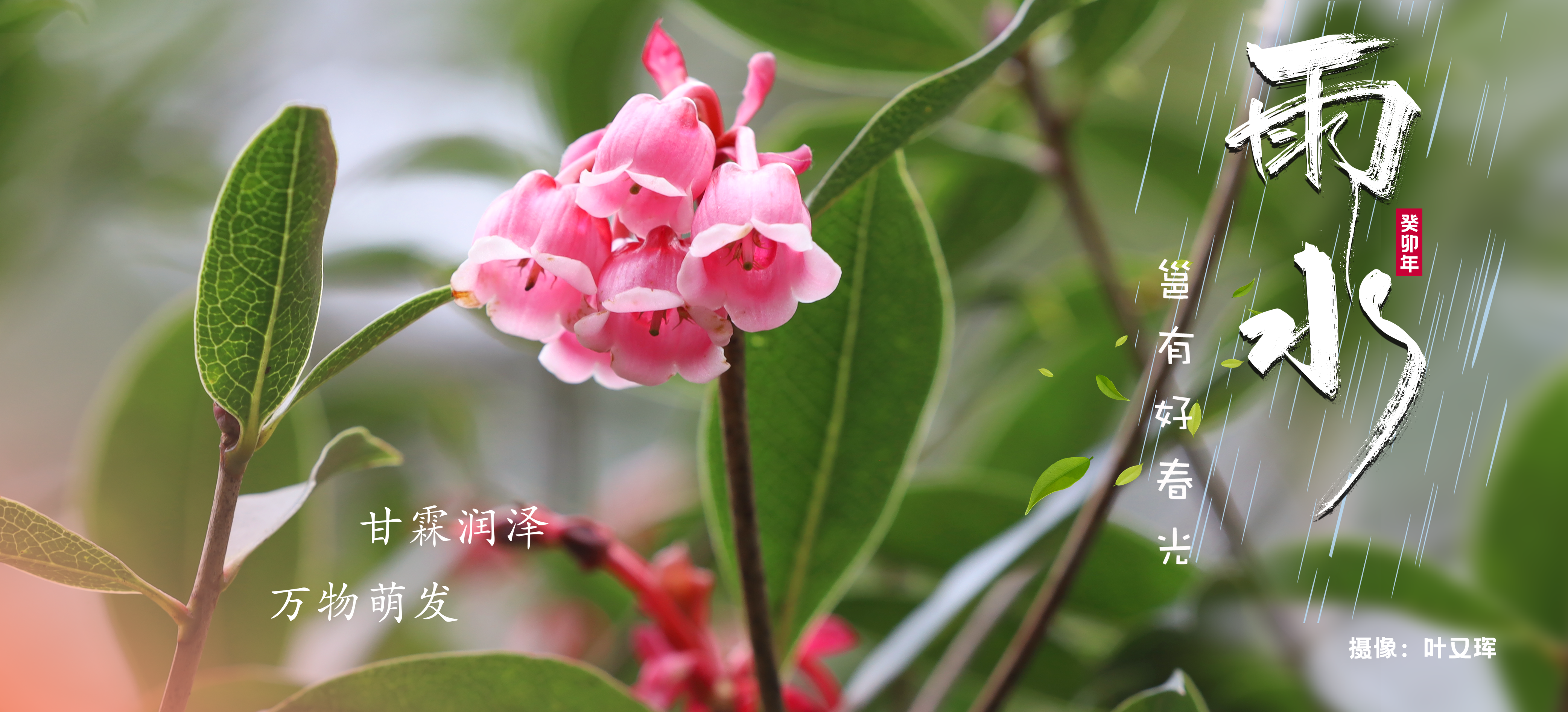 二十四节气——雨水
